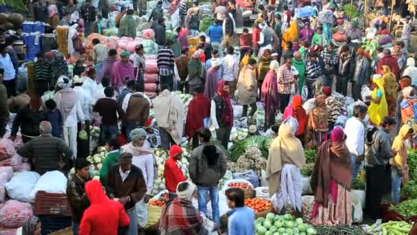 Rajasthan Udaipur Índia Ásia mercado fruta agricultura pessoas — Vídeo de Stock