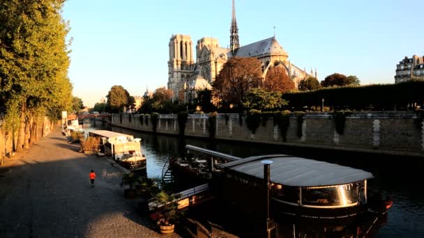 Francia París Río Sena Iglesia de Notre Dame catedral amanecer — Vídeo de stock