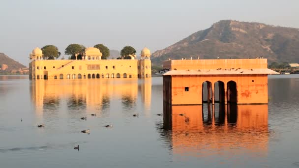 Radżastan Jaipur Indie Jal Mahal Palace wody jeziora — Wideo stockowe