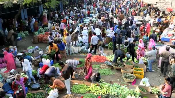 Rajasthan Udaipur India comercializa la agricultura femenina masculina — Vídeos de Stock