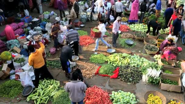 Rajasthan Udaipur India market male female agriculture — Stock Video