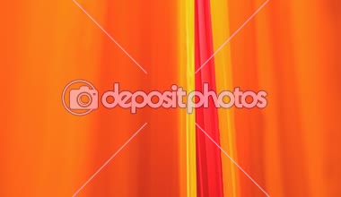 Rajasthan Jaipur Hindistan Sari Tekstil pazarı