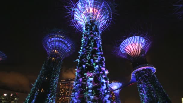 Singapore Clarke Quay tuinen Bay Supertree Grove — Stockvideo