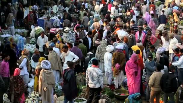 Rajasthan Udaipur Indien Asien marknaden grönsaker hane — Stockvideo