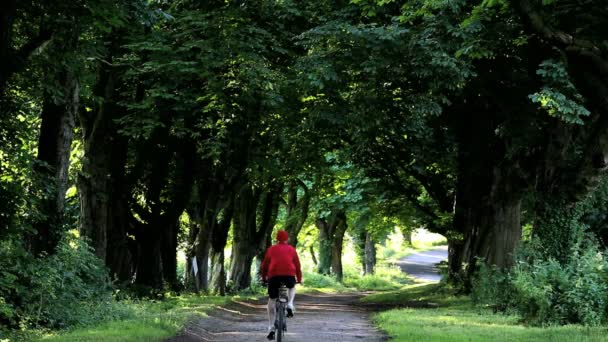 Gloucestershire İngiltere bisikletçi bisiklet kir parça yol taşıma kırsal seyahat — Stok video