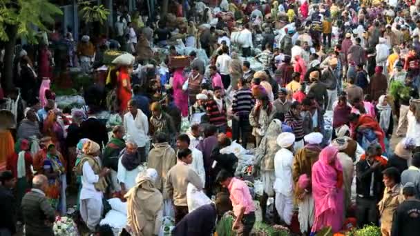 Rajasthan Udaipur India comercializa la agricultura femenina masculina — Vídeo de stock