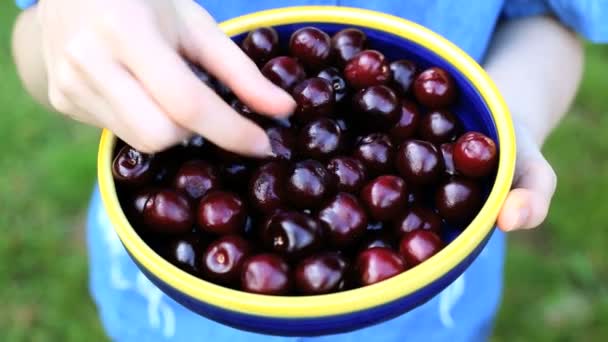 Cerezas fruta hembra mujeres bowl alimentos frescos manos vitamina dieta — Vídeo de stock