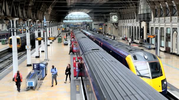 London Paddington station trein spoorweg netwerk woon-werkverkeer — Stockvideo