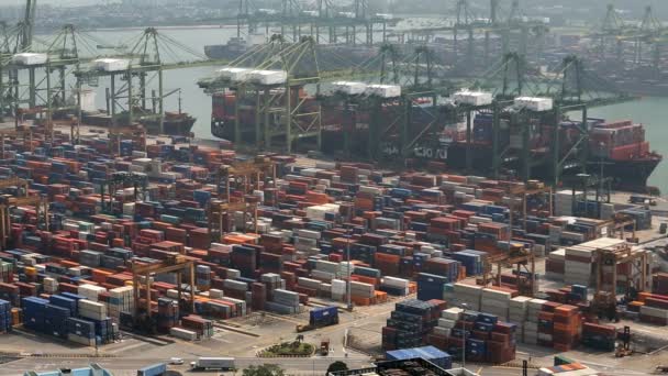 Containerhamn docks fartyget behållare globala Singapore — Stockvideo