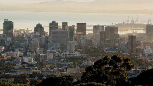 Sudáfrica Ciudad del Cabo Western Cape Financial District — Vídeo de stock