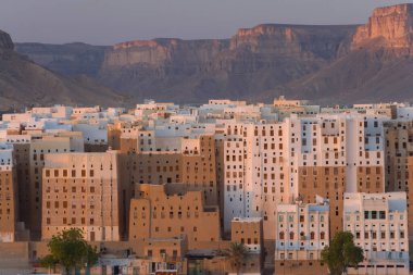 Yemen 'in doğusundaki Wadi Hadhramaut' ta bir kasaba. Çamurlu tuğlalarıyla tanınan Orta Doğu 'daki yüksek binalar.