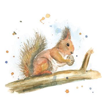 Elle çizilmiş suluboya sincap