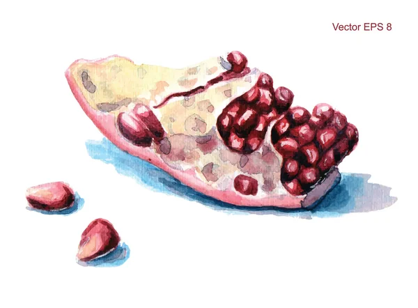 Hand getekend aquarel garnet — Stockvector