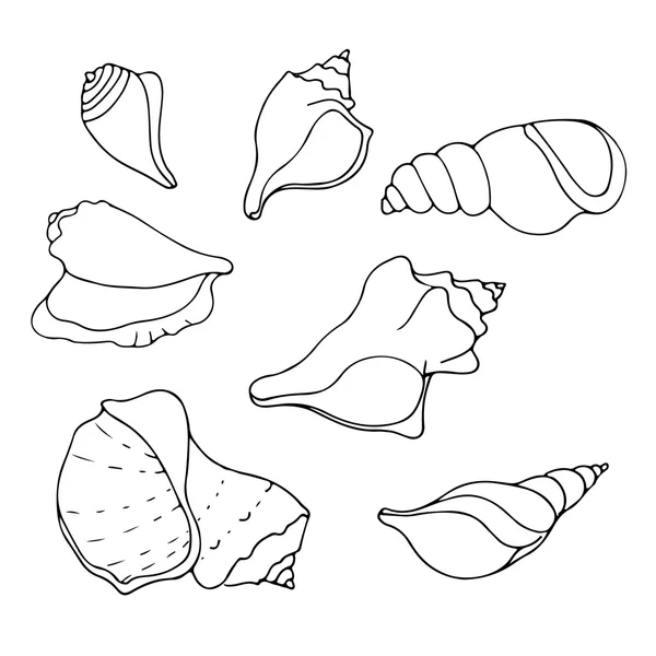 Hand drawn sea shells — Stock Vector