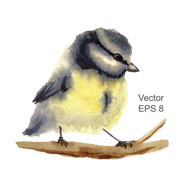 Aquarel gele vogel — Stockvector