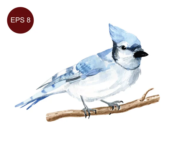 Hand drawn watercolor bird — Stock Vector