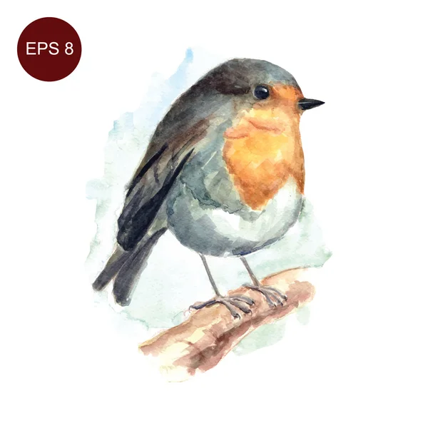 Aquarelle dessinée à la main robin oiseau — Image vectorielle