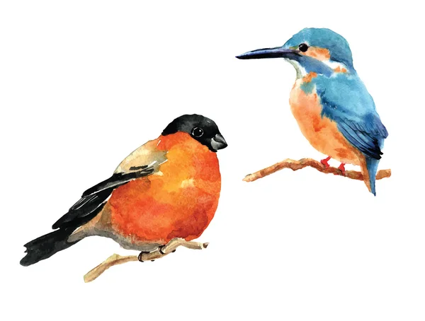 Hand getekend aquarel vogels — Stockvector