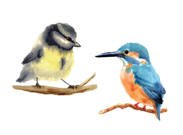 Hand drawn watercolor birds — Stock Vector