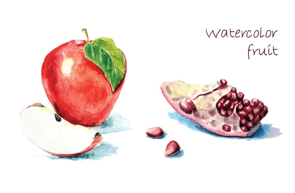 Fruits aquarelle dessinés à la main — Image vectorielle