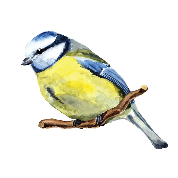 Hand getekend aquarel vogel — Stockvector