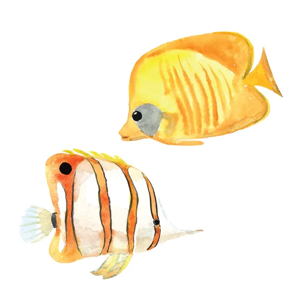 Aquarelle dessinée à la main poissons — Image vectorielle