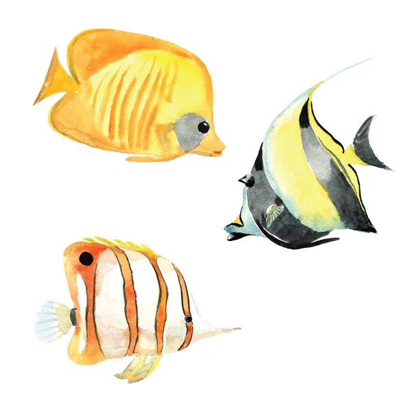 手描き水彩の魚 — ストックベクタ