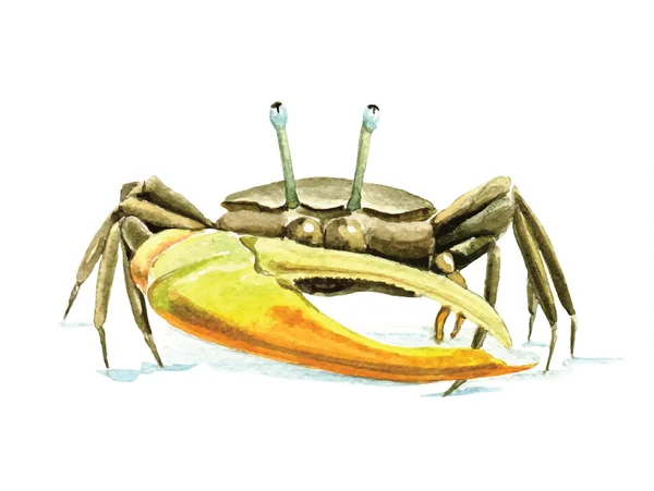 Crabe aquarelle dessiné à la main — Image vectorielle