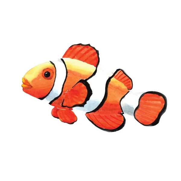 Hand drawn watercolor clown fish — Stock Vector