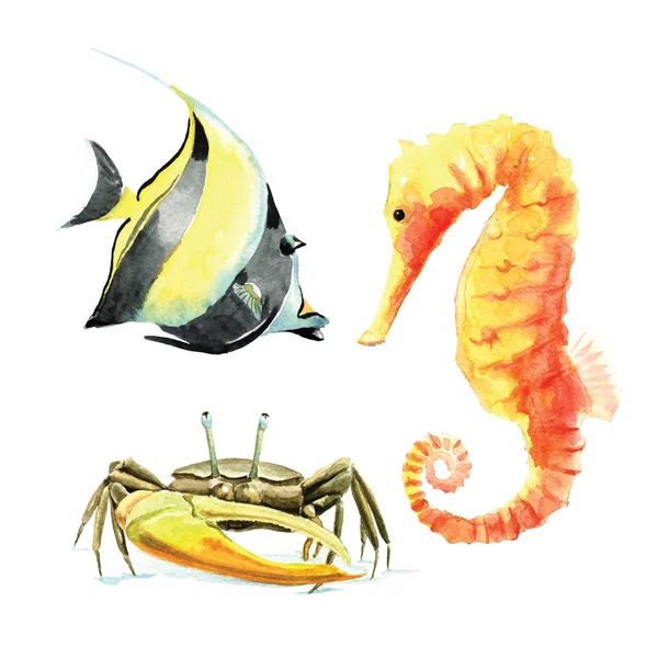 Hand drawn watercolor sea creatures — Stock Vector