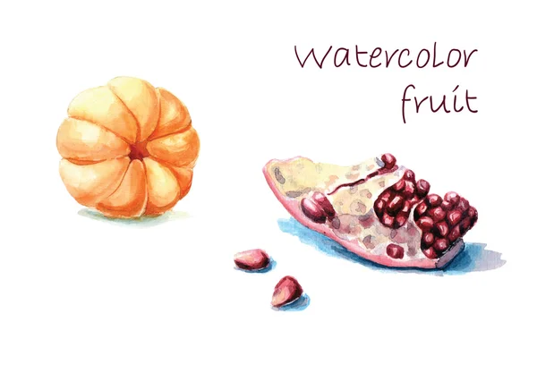 Handgezeichnete aquarellierte Früchte — Stockvektor