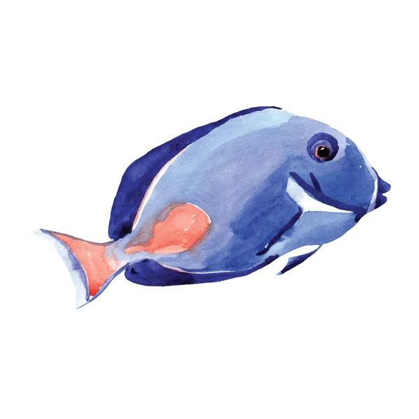 Aquarelle dessinée à la main chirurgien poisson — Image vectorielle