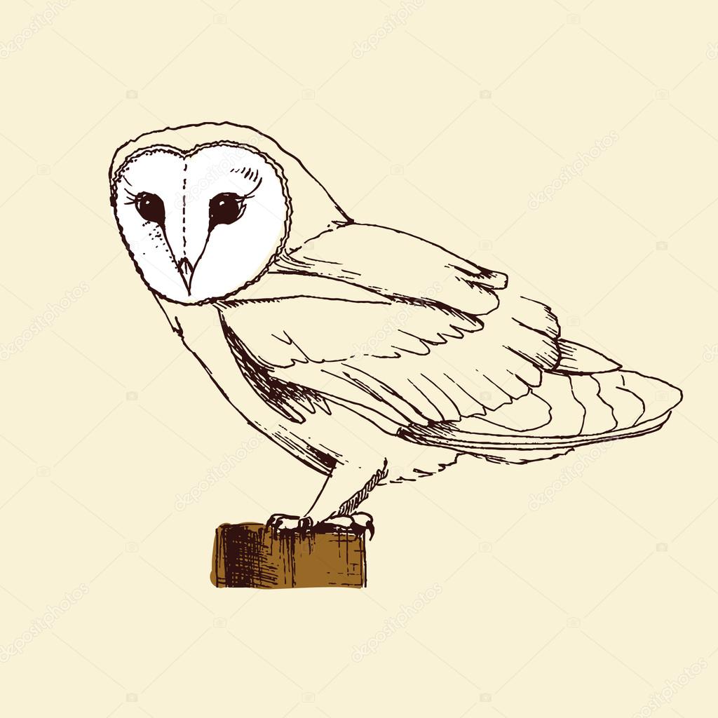 スクリーチ フクロウストックベクター ロイヤリティフリー スクリーチ フクロウイラスト Depositphotos スクリーチ フクロウストックベクター ロイヤリティフリー スクリーチ フクロウイラスト Depositphotos