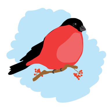 Rowan dalı üzerinde şakrak kuşu.