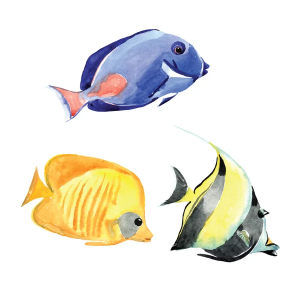 Aquarelle dessinée à la main poissons — Image vectorielle