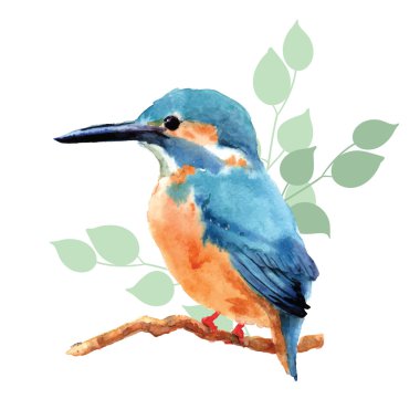 Hand drawn watercolor bird clipart