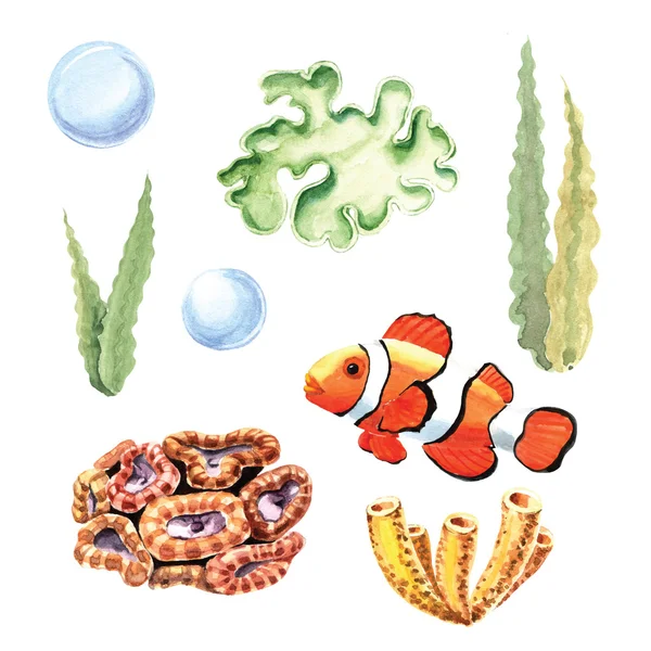 Koralen, bubbels, zeewier en vis — Stockfoto