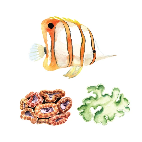 手描き水彩の魚とサンゴ — ストックベクタ