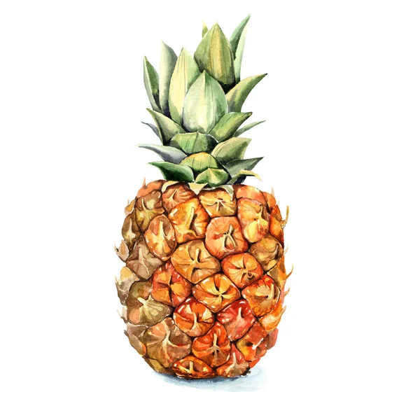 Kézzel rajzolt akvarell ananász — Stock Fotó