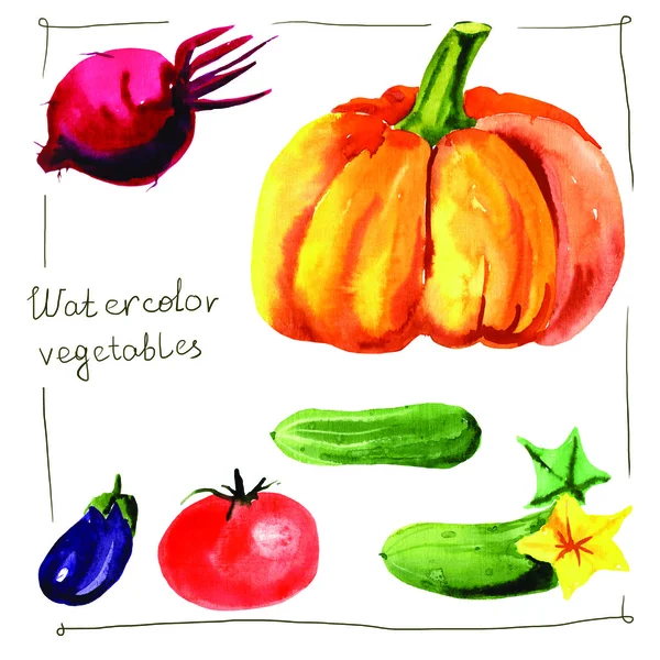 Handgezeichnetes Aquarell-Gemüse. — Stockfoto