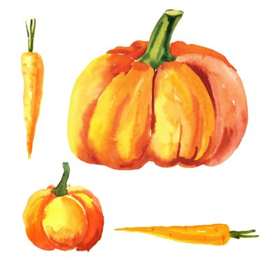 Turuncu suluboya sebze.