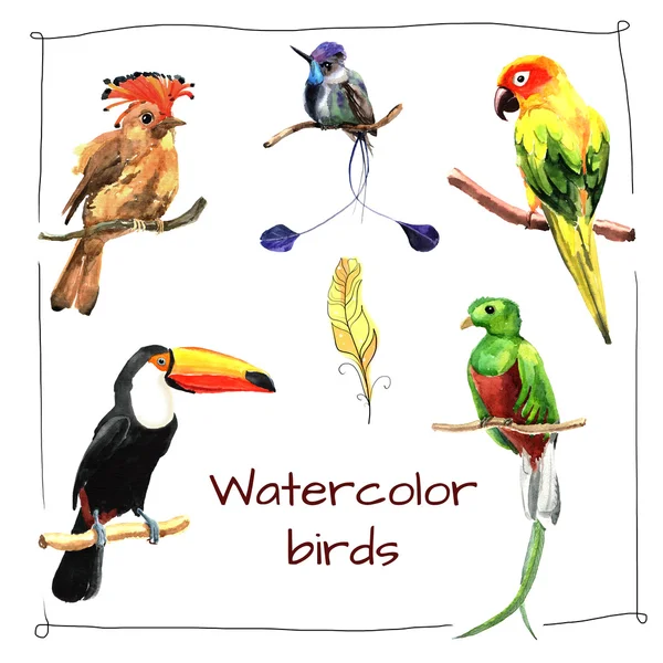 Hand drawn watercolor birds. — Stock Photo, Image