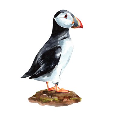 Suluboya martı kuşu el çekilmiş.