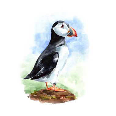 Suluboya martı kuşu el çekilmiş.