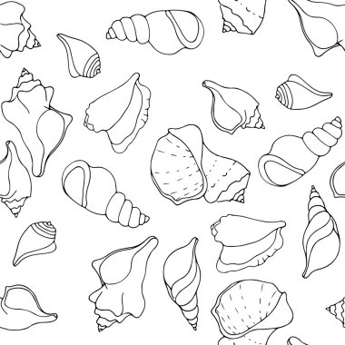 deniz kabuklarını desenle kabataslak