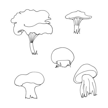 Kabataslak el mantar