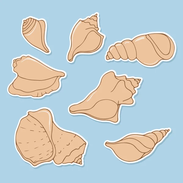 Hand sketched seashells — Stock Vector