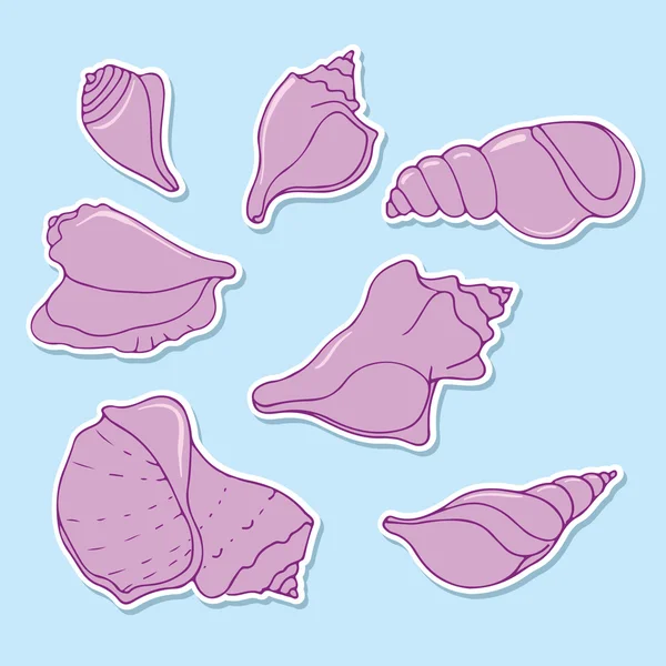 Pink seashells - illustration — Stock Vector