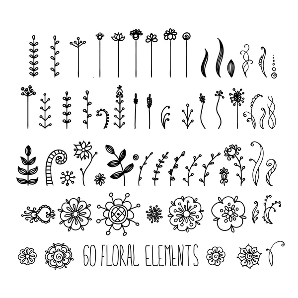 Elementos florais desenhados à mão . — Vetor de Stock