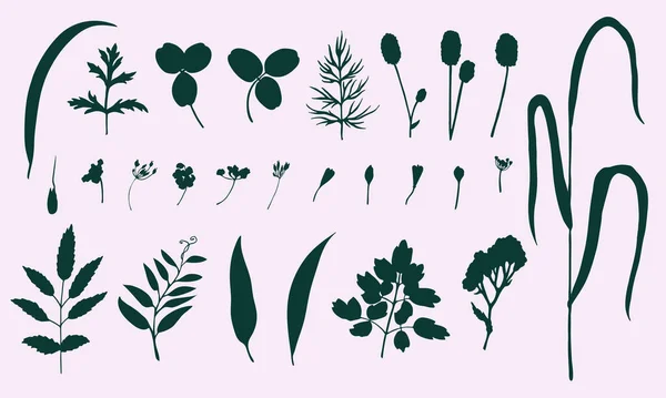 Ensemble de silhouettes de prairies herbeuses. Illustration vectorielle isolée sur fond blanc. — Image vectorielle